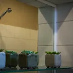 Modern Kapana * Пловдив