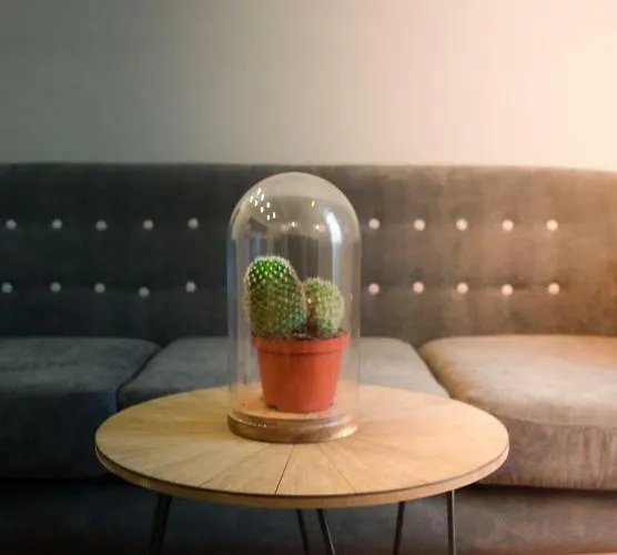 The Dutchies' Apartamento